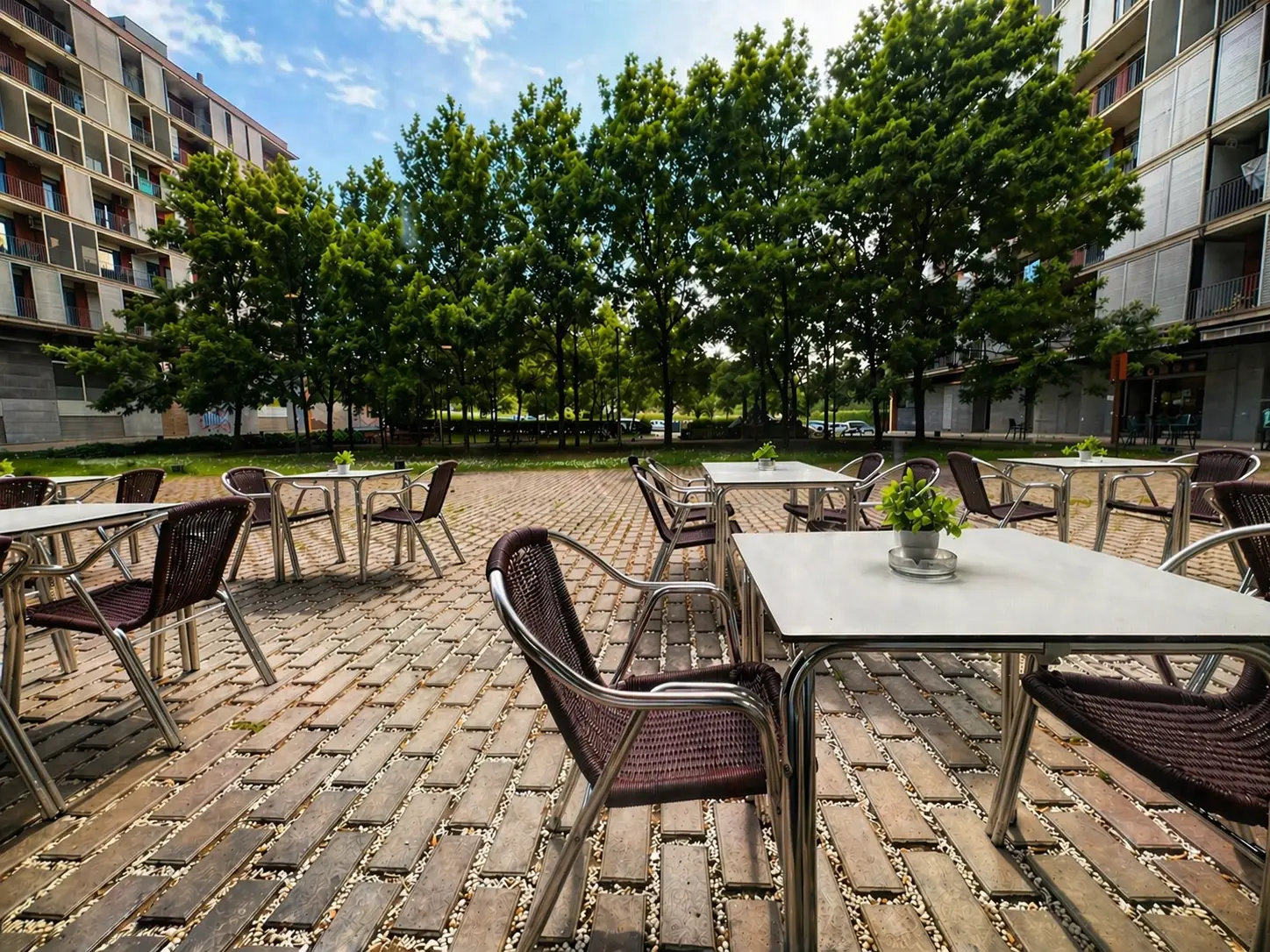 terraza principal